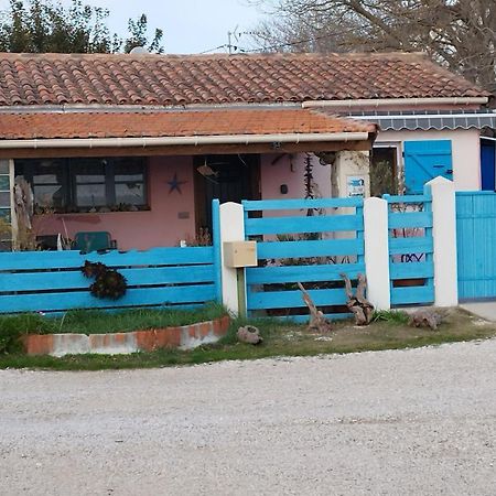 Une Maison Sur Une Presqu'Ile Port-Saint-Louis-du-Rhône Eksteriør billede